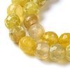 Dyed & Heated Natural Fire Crackle Agate Beads Strands G-P539-B01-18-4