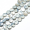 Natural Shell Beads Strands X-PBB251Y-3-1