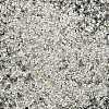 TOHO 11/0 Demi Round Beads X-SEED-DR11-PF21-3