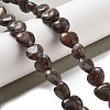 Natural Glaucophane Beads Strands G-R190-10mm-36-2