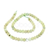 Natural Prehnite Beads Strands G-O201A-06E-2