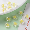 Transparent Acrylic Beads TACR-S152-01A-SS2105-6