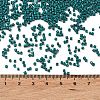 Baking Paint Glass Seed Beads X-SEED-S042-05B-67-4