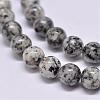 Natural Sesame Jasper/Kiwi Jasper Beads Strands G-F351-10mm-1