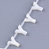 Natural Sea Shell Beads SHEL-T012-60Y-2