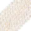 Natural Cultured Freshwater Pearl Beads Strands PEAR-C004-21E-2