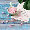Plastic Clip-on Earring Findings X-FIND-Q001-02-4