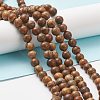 Natural Picture Jasper Round Bead Strands LS-G-G-P070-55-8mm-6