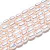 Natural Cultured Freshwater Pearl Beads Strands PEAR-N012-02K-3