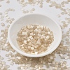 MIYUKI TILA Beads SEED-JP0008-TL2593-1