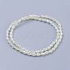1 Strand Electroplate Glass Beads Strands X-EGLA-J013-4X6mm-F03-5