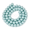 Eco-Friendly Dyed Glass Pearl Round Beads Strands HY-A002-8mm-RB106-5
