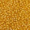 TOHO 11/0 Round Beads X-SEED-TR11-0949-2