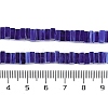 Handmade Lampwork Beads Strands LAMP-Q037-02B-07-4