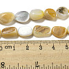Natural Yellow Shell Beads Strands SSHEL-H072-08-4