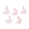 Natural Quartz Crystal Pendants G-Z022-04B-1