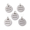 Non-Tarnish 304 Stainless Steel Charms STAS-Q201-T445-11S-2