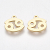 Ion Plating(IP) 304 Stainless Steel Charms STAS-S107-06J-1