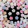 Transparent Crackle Acrylic Beads OACR-B031-21-2
