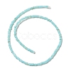 Natural Freshwater Shell Beads Strands SHEL-P017-01B-03-2