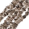 Natural Smoky Quartz Beads Strands G-P622-A01-01-2