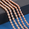 Natural Cultured Freshwater Pearl Beads Strands PEAR-N012-02C-5