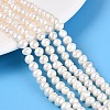 Natural Keshi Pearl Beads Strands PEAR-N013-05P-1