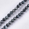 Natural Hawk's Eye Beads Strands G-S333-4mm-027-1