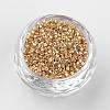 Plated Glass Bugle Beads SEED-R043-10-2