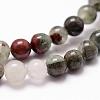 Natural African Bloodstone Beads Strands G-D840-66-10mm-3