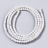 Natural Freshwater Shell Beads Strands X-BSHE-T009-01F-2