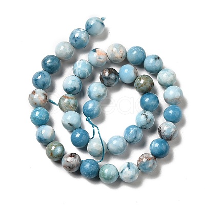 Natural Gemstone Beads Strands G-F730-02C-1