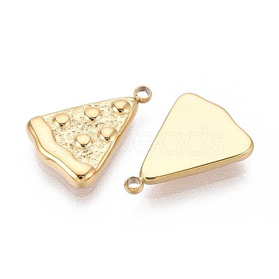 304 Stainless Steel Charms STAS-N109-255G-1