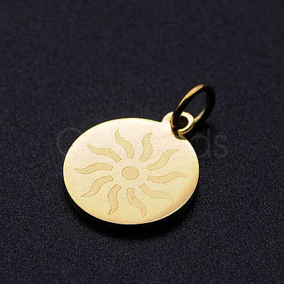 201 Stainless Steel Charms STAS-T049-T684-2-1