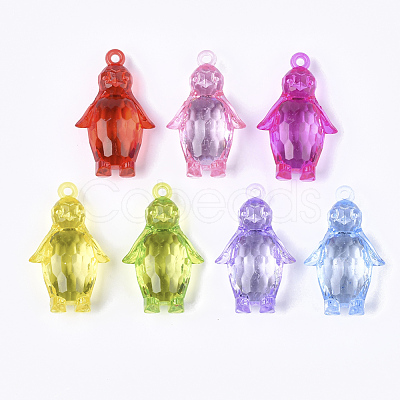 Transparent Acrylic Pendants TACR-S133-006-1
