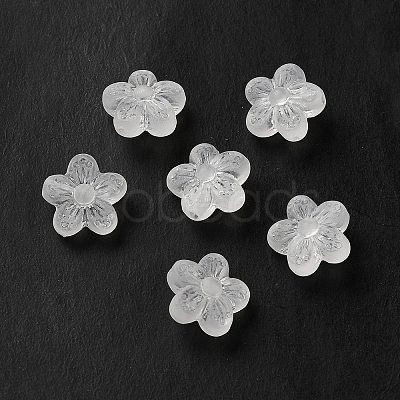 Transparent Acrylic Beads OACR-L013-006-1