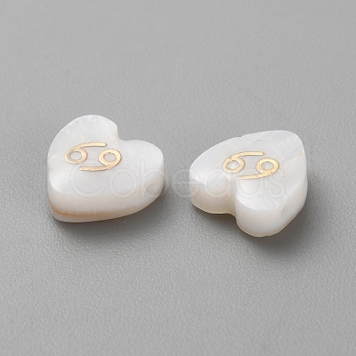 5Pcs Natural White Shell Beads LS-BSHE-TAC0004-02F-1