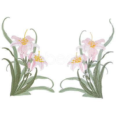 2Pcs Polyester Clothing Patches PATC-GF0001-85A-1
