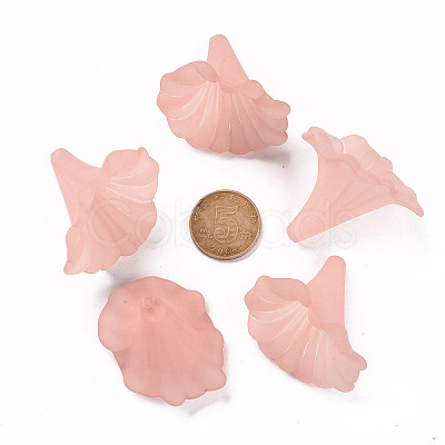 Transparent Acrylic Beads BSF796-C11-1