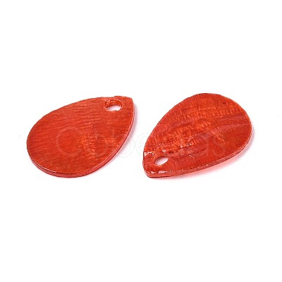 Spray Painted Capiz Shell Charms LS-SSHEL-T006-10C-1