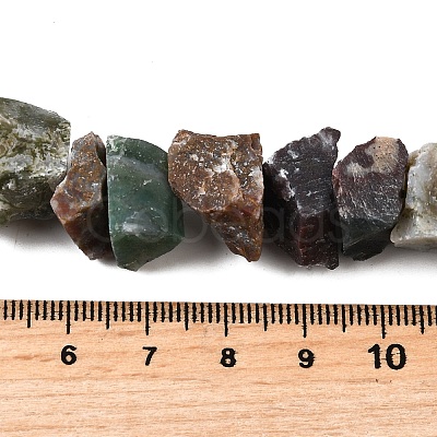 Natural Indian Agate Beads Strands G-I283-F20-1
