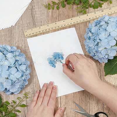 Dried Embossed Paper DIY-WH0622-646A-1