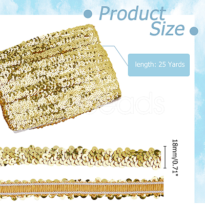 Polyester with Paillette Lace Trim Ribbon OCOR-WH0101-90E-1