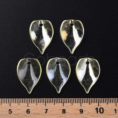 Transparent Acrylic Beads MACR-S373-103-C-1