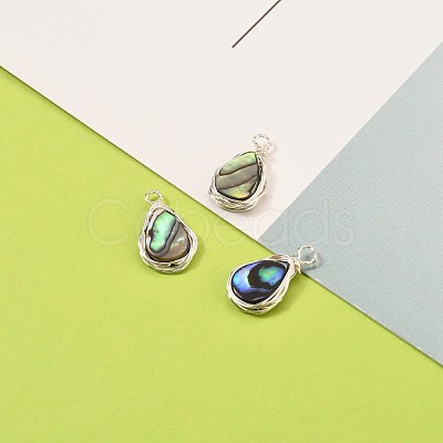 Natural Abalone Shell/Paua Shell Pendants PALLOY-JF00477-02-1