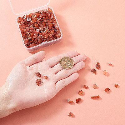 Natural Red Agate Beads G-CJ0001-16-1