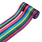 2Rolls 2 Styles Stripe Pattern Printed Polyester Grosgrain Ribbon, for DIY Bowknot Accessories, Colorful, 1roll/style