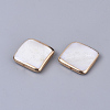 Edge Golden Plated Natural Freshwater Shell Beads X-SHEL-S276-47-2