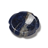 Natural Sodalite Worry Stones G-E586-01O-2