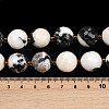 Natural Zebra Jasper Beads Strands G-C249-A15-16mm-6